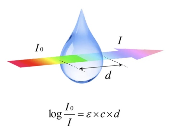 Implen小課堂：樣品吸光值和OD值有什么
